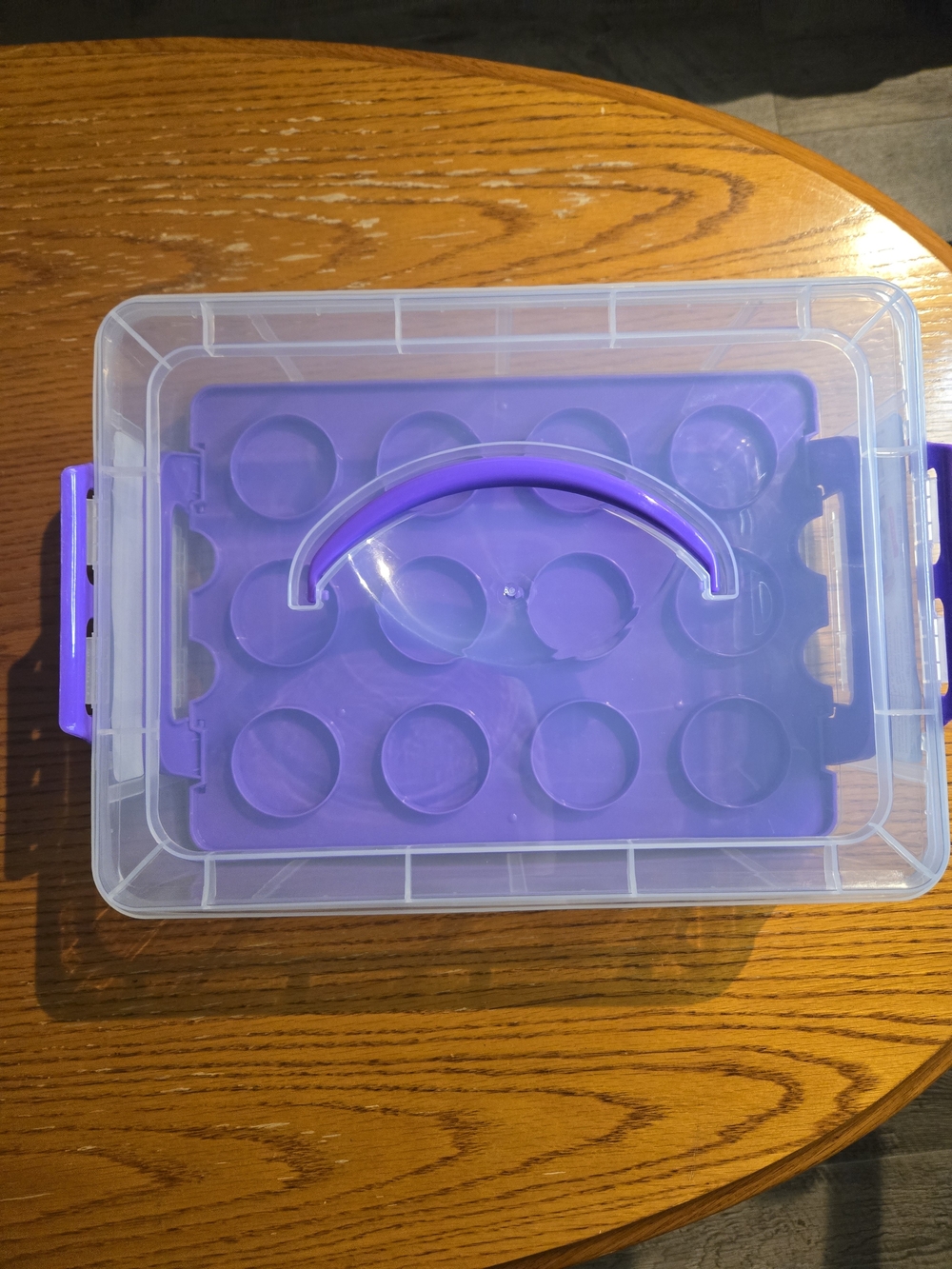 Cupcake & Cake Holder And Carrier With Handle